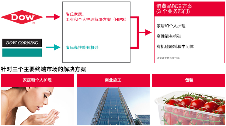 显示陶氏消费品解决方案三个终端市场的信息图